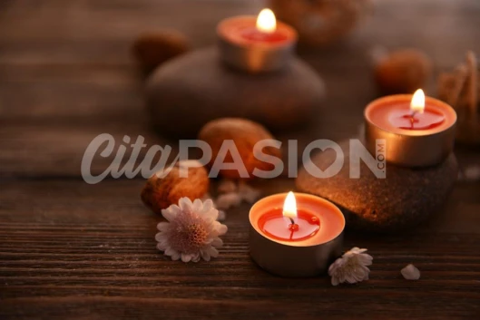 SERGIO 600037599 Gay En Palma De Mallorca Novedad Masaji 